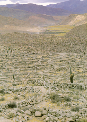 <br>Santa Rosa de Tastil<br>Gentileza del Ministerio de Turismo de Salta