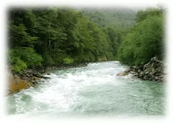 Ríos en el Parque Nacional Lanín